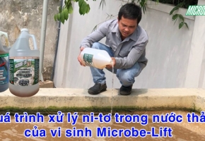 Quá trình khử Nitơ bằng vi sinh Microbe-Lift