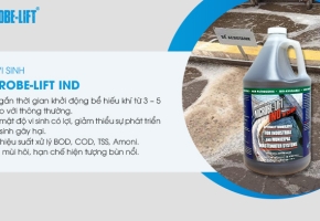 Hướng dẫn nuôi cấy vi sinh bể hiếu khí cho HTXLNT đạt hiệu quả cao.