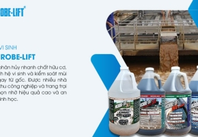 Khắc phục tình trạng xảy ra mùi hôi trong hệ thống xử lý nước thải