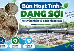 Bùn Hoạt Tính Dạng Sợi – Nguyên Nhân Và Cách Kiểm Soát