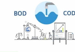 Chỉ tiêu BOD, COD theo từng ngành nước thải và cách xử lý hiệu quả bằng phương pháp sinh học