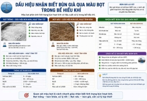 Dấu hiệu nhận biết bùn già qua màu bọt và cách khắc phục trong bể hiếu khí