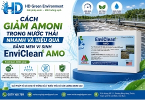 Cách giảm Amoni trong nước thải nhanh và hiệu quả bằng men vi sinh EnviClean AMO