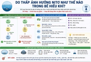 DO thấp ảnh hưởng Nitơ như thế nào? Nguyên nhân Amoni tăng trong bể hiếu khí