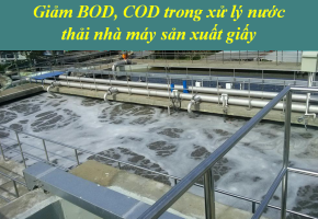 Giảm BOD, COD trong xử lý nước thải nhà máy giấy hiệu quả