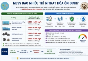 MLSS bao nhiêu thì Nitrat hóa ổn định trong bể hiếu khí?
