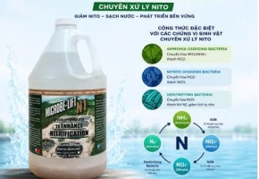 Chỉ số NO3 vượt quy chuẩn – Xử lý bằng men vi sinh có hiệu quả không?