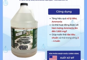 Vì sao nồng độ nito cao trong nước thải và cách xử lý hiệu quả