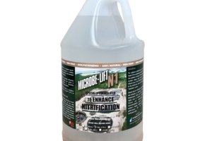 Vi sinh khử nito ammonia – Giải pháp xử lý NH4+ hiệu quả, bền vững