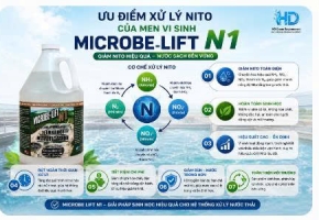 Phân tích nguồn phát sinh Nitơ cao trong nước thải và hướng xử lý bằng vi sinh nitrifying chuyên biệt
