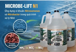  Vi khuẩn Nitrosomonas và Nitrobacter - Vi sinh xử lý nito MICROBE-LIFT N1 