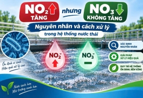 NO₂ tăng nhưng NO₃ không tăng: Nguyên nhân và cách xử lý trong hệ thống nước thải