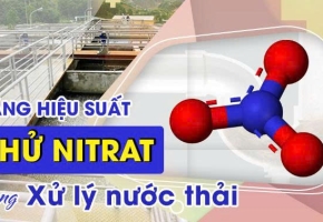 Cách phục hồi vi khuẩn Nitrat hóa trong hệ thống xử lý nước thải hiệu quả