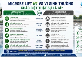 Microbe Lift N1 với vi sinh thường | So sánh chi tiết hiệu quả xử lý