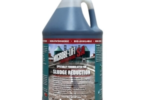 MEN VI SINH GIẢM BÙN CÓ CẮT TẢO KHÔNG? GIẢI ĐÁP CHI TIẾT