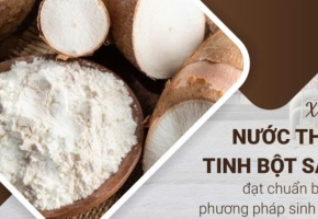 Giải Pháp Xử Lý Nước Thải Tinh Bột Sắn  Đạt Chuẩn Xả Thải