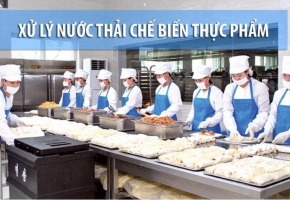 Khử Mùi Nước Thải Chế Biến Thực Phẩm Hiệu Quả Bằng Men Vi Sinh Microbe Lift IND