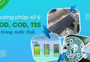 Xử Lý Nước Thải Có COD, BOD Cao Bằng Sinh Học Hiệu Quả Nhất