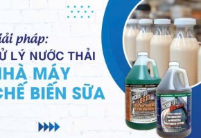 Công nghệ nào phù hợp cho nhà máy sữa công suất lớn?