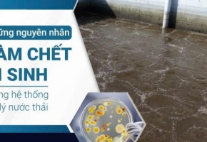 Các Nguyên Nhân Khiến Vi Sinh Chết Trong Hệ Thống Xử Lý Nước Thải Và Giải Pháp Khắc Phục