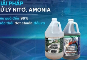 Men vi sinh xử lý Nitơ hiệu quả | Giảm TN trong nước thải