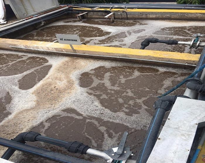 Bể hiếu khí sau 10 ngày sử dụng men vi sinh Microbe-Lift IND.