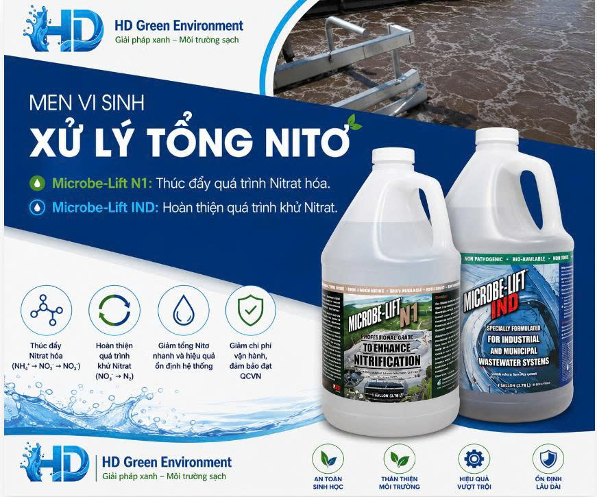Men vi sinh xử lý Nitơ hiệu quả