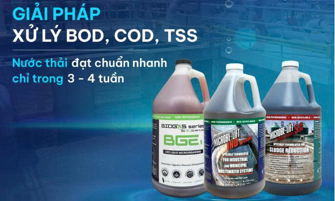 Sản phẩm men vi sinh giảm BOD,COD,TSS