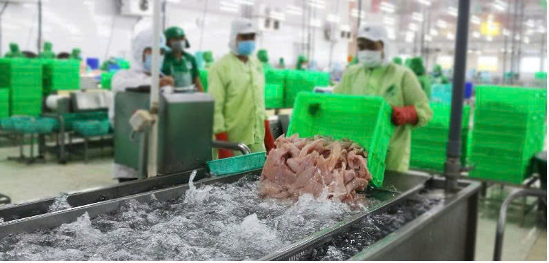 Công nghệ xử lý nước thải chế biến thủy sản 200 m³/ngày  Giới thiệu