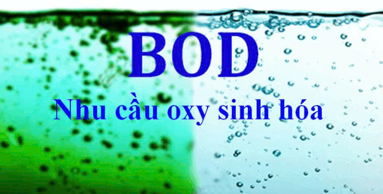 BOD là gì?