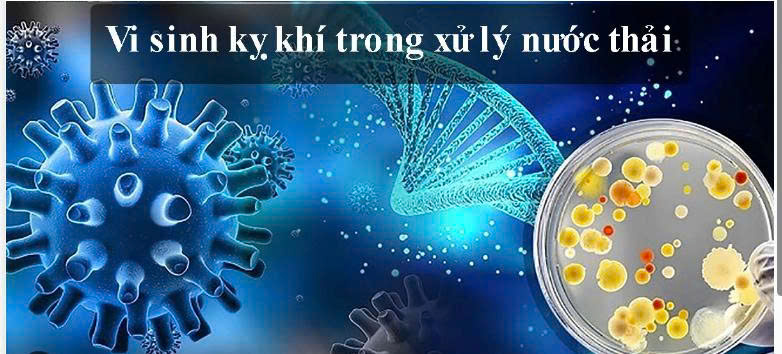 Vi sinh kỵ khí 