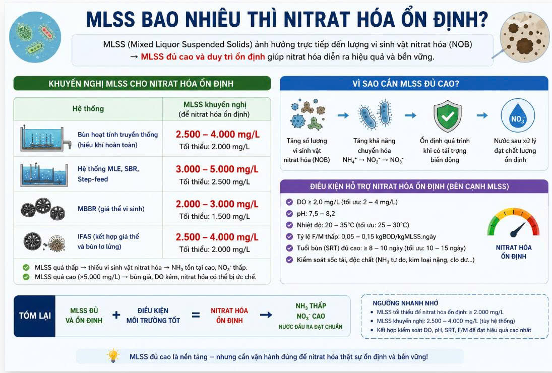 MLSS bao nhiêu thì Nitrat hóa ổn định?