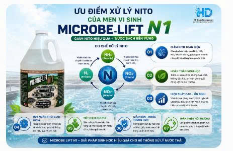 Microbe Lift N1 trong xử lý Nito vượt chuẩn