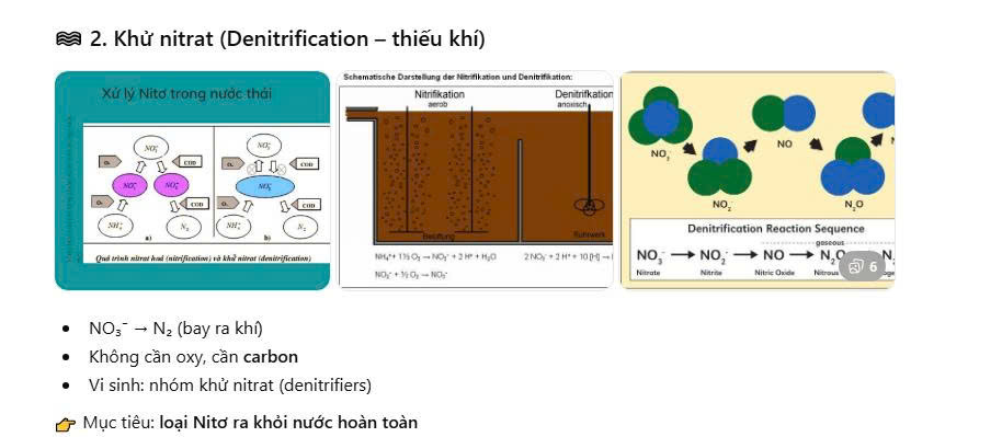  Khử nitrat (Thiếu khí)