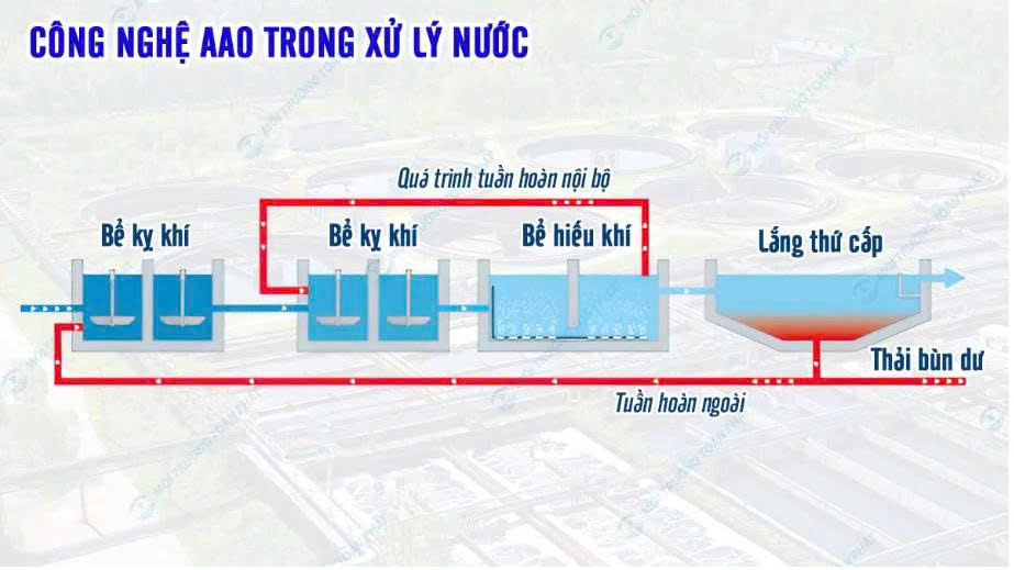  hệ thống AAO