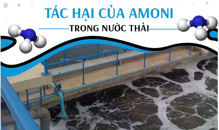 Tác hại amoni cao trong nước thải