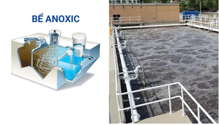 Bể Anoxic Không Khử Được Nitơ: 7 Nguyên Nhân Và Cách Xử Lý