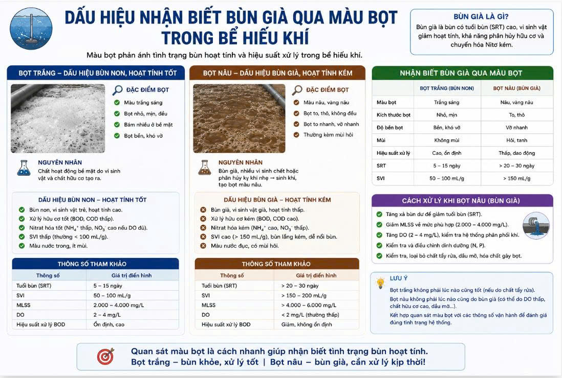 Phân biệt bùn già và bùn non qua màu bọt