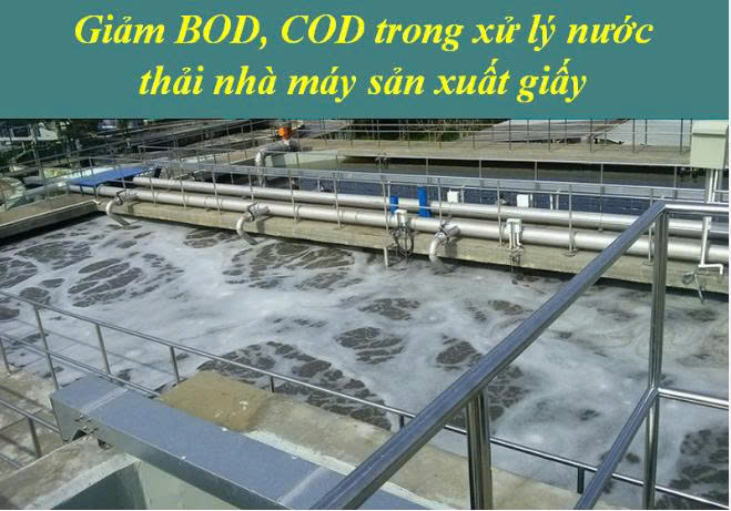 Giảm BOD,COD trong nước thải giấy