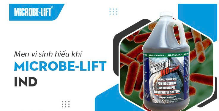 Men vi sinh hiếu khi Microbe lift IND