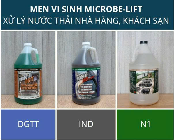 Các dòng men cho nước thải nhà hàng khách sạn