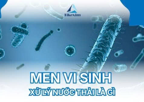 Men Vi Sinh Xử Lý Nước Thải Là Gì?