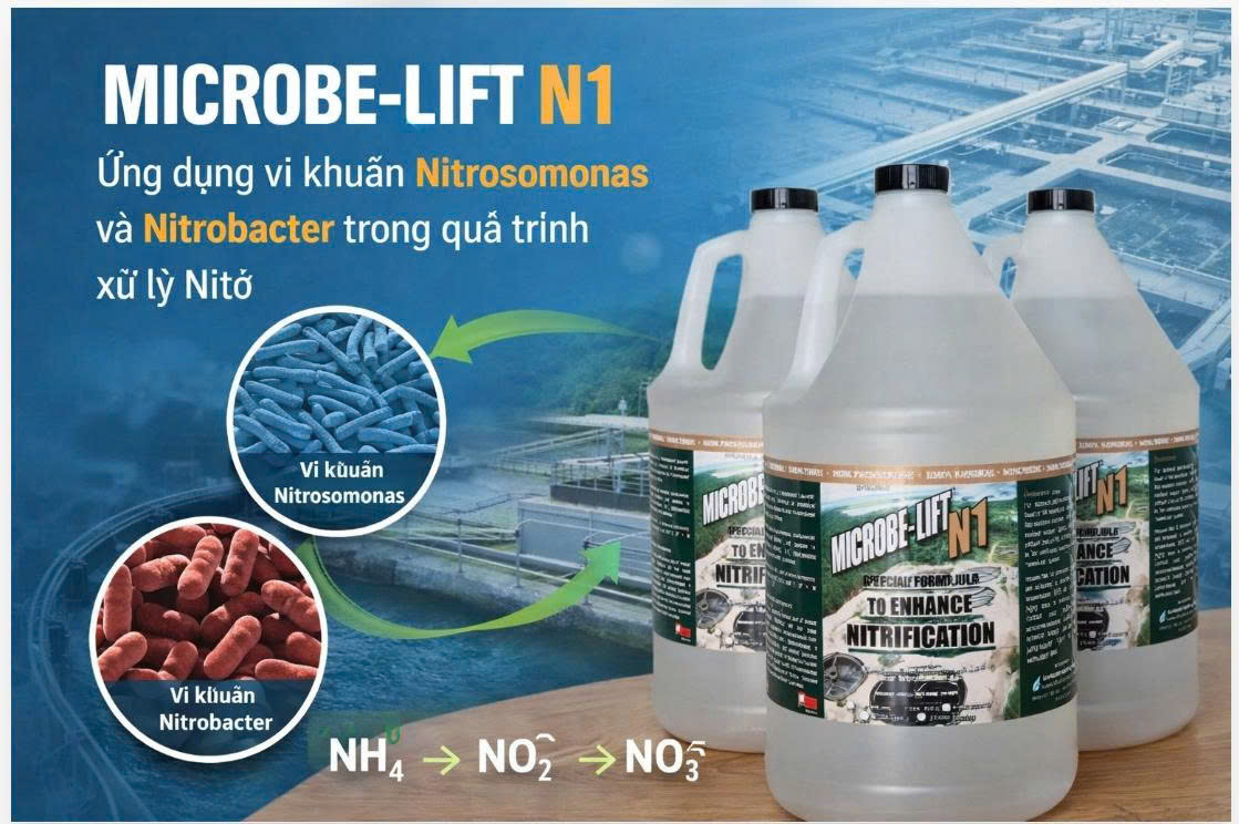  Vi khuẩn Nitrosomonas và Nitrobacter - Vi sinh xử lý nito MICROBE-LIFT N1 