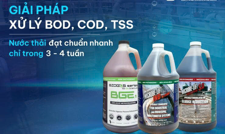 Giải pháp nâng cao hiệu quả xử lý BOD, COD bằng vi sinh