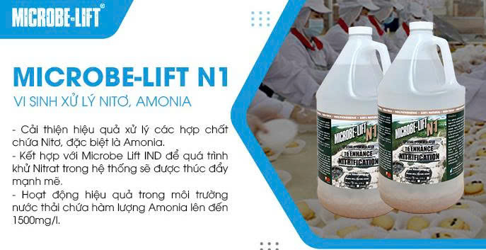 Microbe-Lift N1 – Vi sinh xử lý Nitơ, Amonia