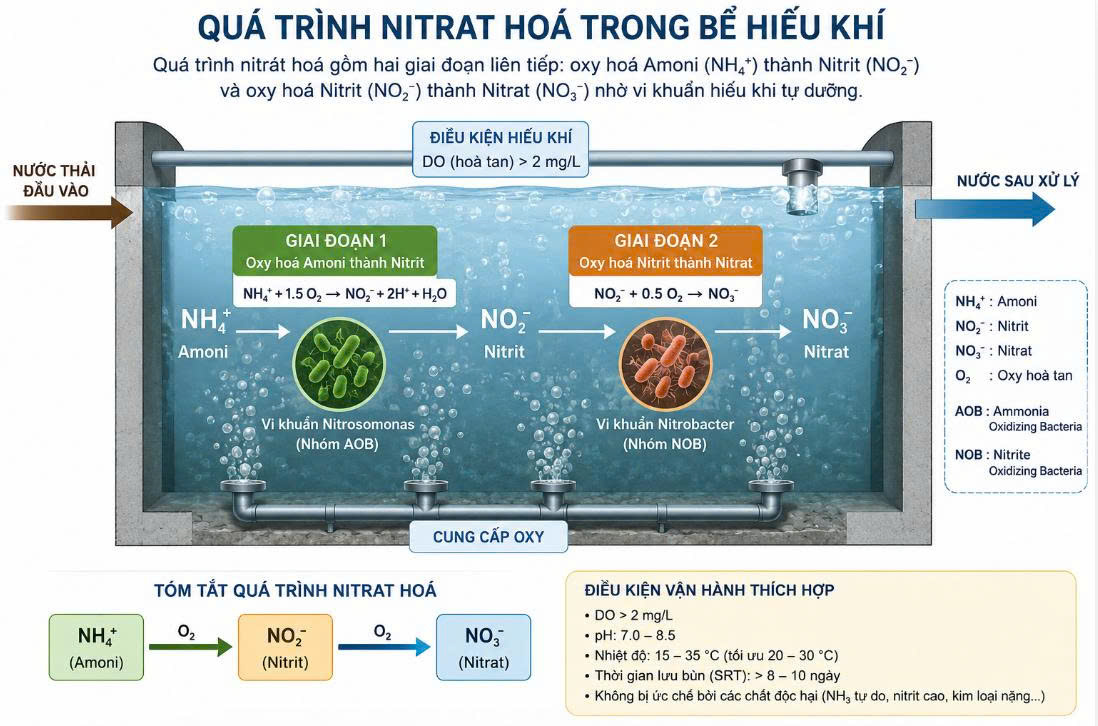 Nguyên nhân khiến amoni tăng cao trong bể hiếu khí