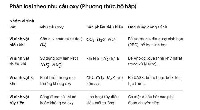 Vi sinh vật trong xử lý nước thải gồm các loại nào?
