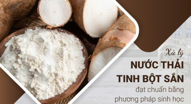 giải pháo xử lý nước thải tinh bột sắn bằng men vi sinh