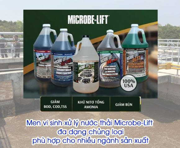 Men vi sinh xử lý nước thải
