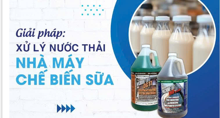 giải pháp xử lý nươc thải chế biến sữa